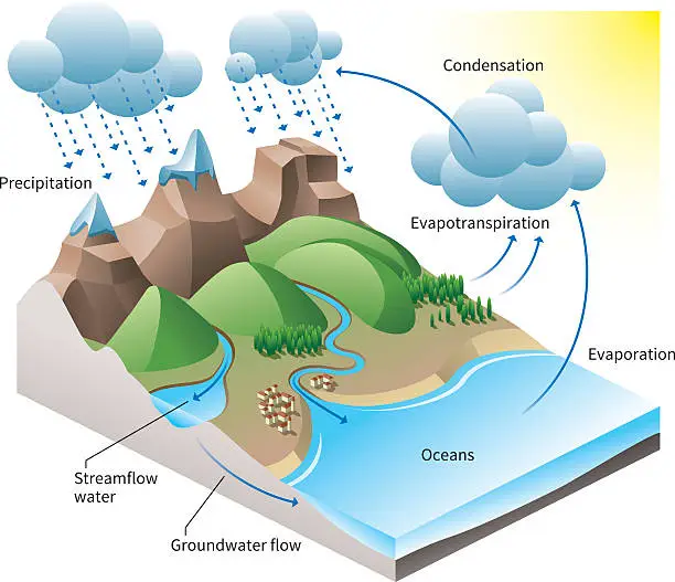 Vector illustration of The Water Cycle