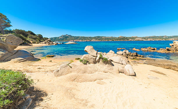 istock rocks and sand in Cala dei Ginepri 525961486