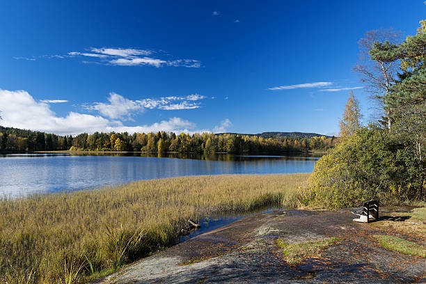 istock Autumn lakes at Norway bench on coast 525961518
