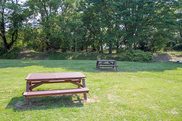 istock Fresh green of the park 525961620