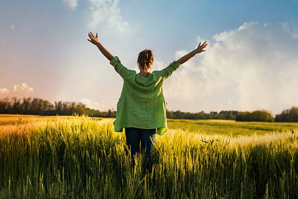 istock Happy woman enjoying in wheat field 525963518