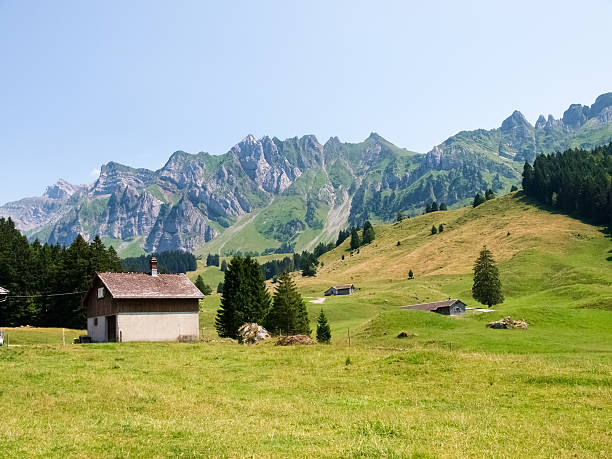 istock Swiss landscape, mountains and green meadows 525963622