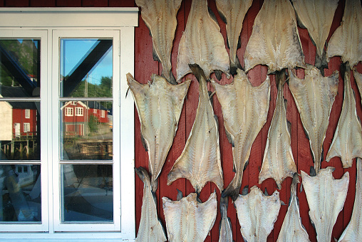 Fish drying on a house on the Lofoten islands, Norway