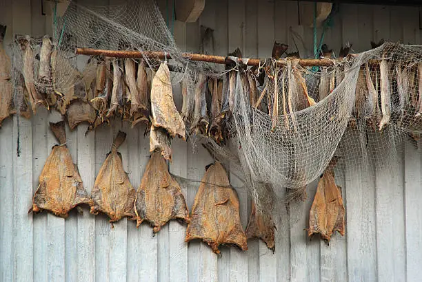 Dried fish (stockfish) and a fishnet. Photo was taken in Norway.