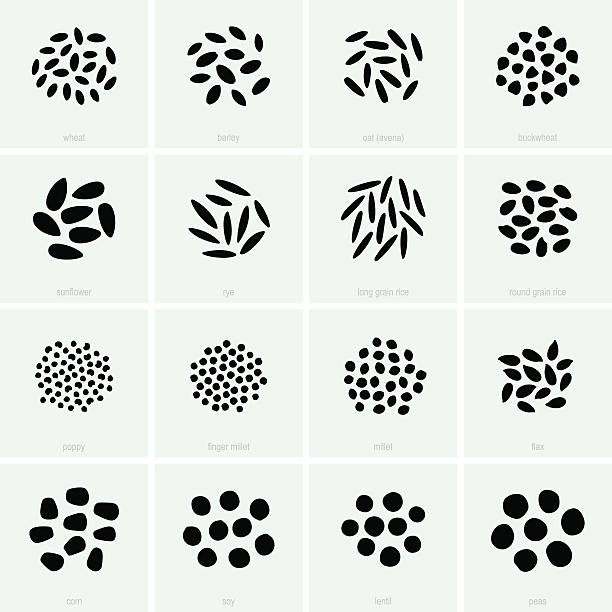 müsli - saatgut stock-grafiken, -clipart, -cartoons und -symbole