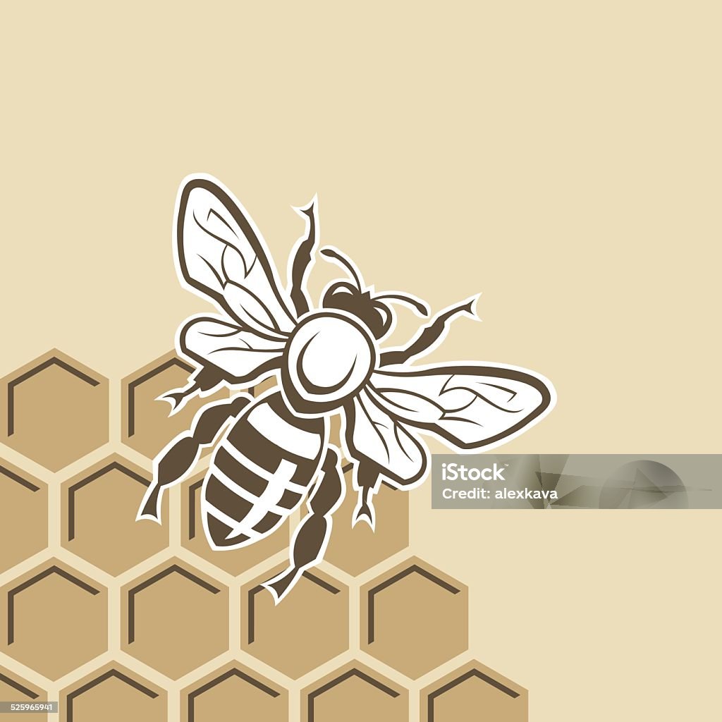 bee and honey monochrome design with bee and of honeycomb Bee stock vector