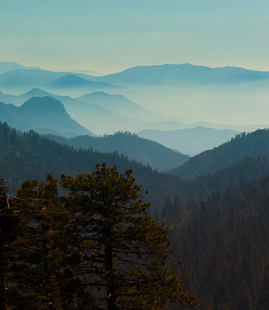 istock Misty Mountain at Sequoia National Park 525966064