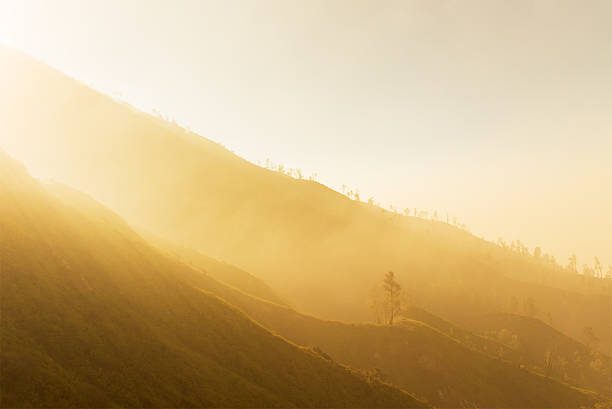 istock Fog covered mountain layer with the golden light on morning. 525966764