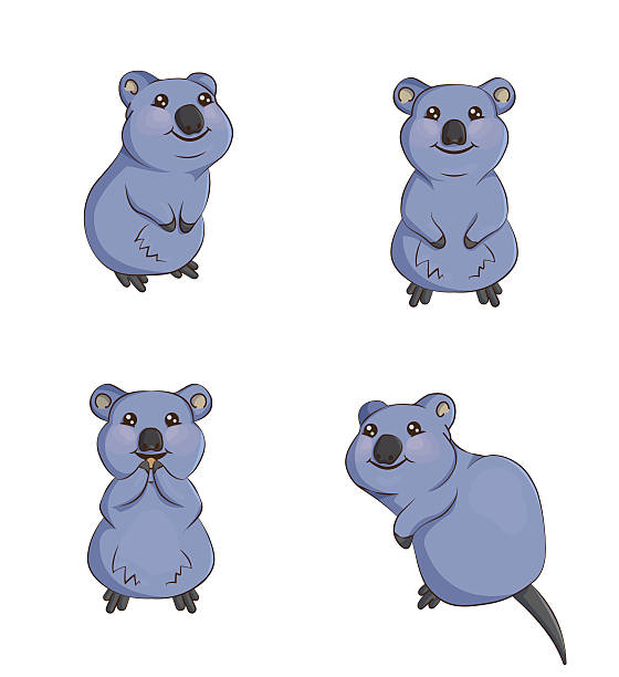 ładna uśmiechająca się kuoka kreskówka zwierząt w różnych pozycje - chubby cheeks stock illustrations