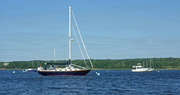 istock Boats at anchor in a harbor 525968727