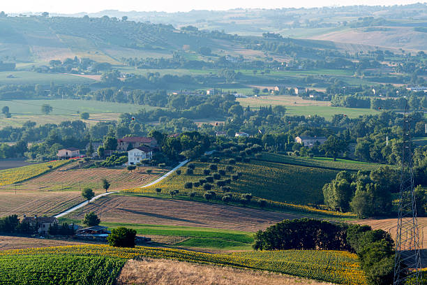Summer landscape in Marches (Italy) Landscape near Macerata (Marches, Italy) at summer: late afternoon macerata italy stock pictures, royalty-free photos & images