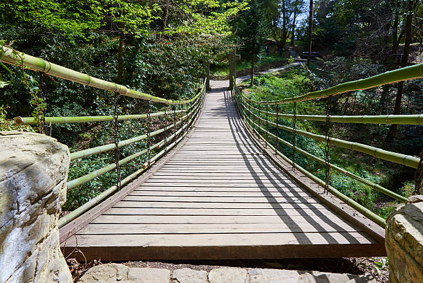 istock Suspension bridge in park arboretum Sochi 525970504