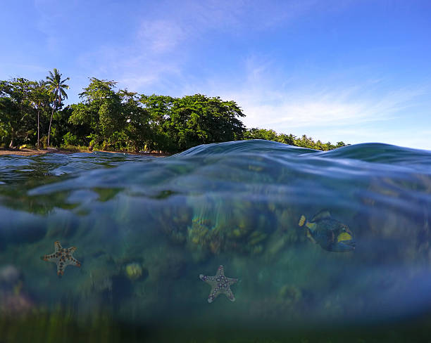 istock The view from the water on tropical island 525974092