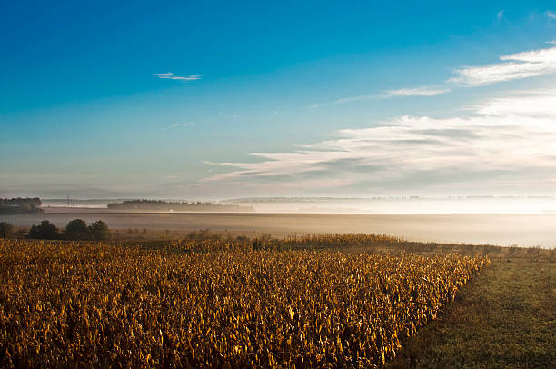 istock sunrise in the village 525978198