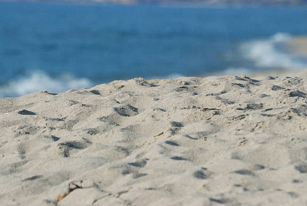 istock Island of Sardinia 525979182