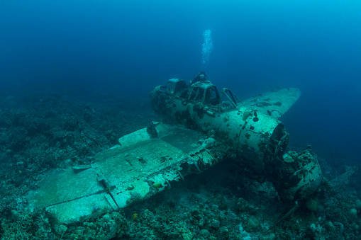This navy floatplane, an Aichi E13A1-1 or Jake type reconnaissance seaplane is one of the most intact wrecks in Micronesia, resting at 45 feet (15m). Beautiful scenario of a II WW Japanese seaplane sunken and a female scuba diver in Palau - Micronesia. The Jake could be found in many lagoons where the land mass did not support an airfield, but they also operated from cruisers and battleships. Two of the planes can be seen (in Palau) in very shallow waters in a cave of Babelthuap.