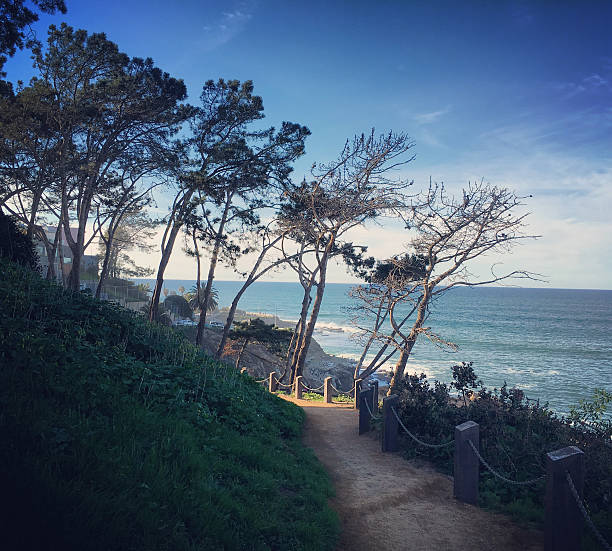 istock Boardwalk along beach in La Jolla, California, USA 525981122