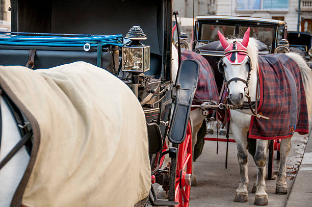 istock Horse and Cart 525982524