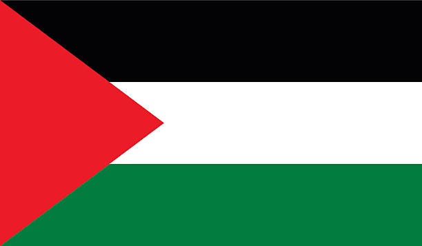 ilustraciones, imágenes clip art, dibujos animados e iconos de stock de bandera palestina - flagged