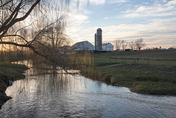 istock Dawn at the Amish farm on a beautiful spring morning. 525983490