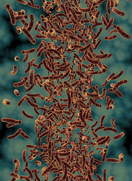 3 d 렌더링 바이러스 세포. - virus computer bug flu virus bacterium 뉴스 사진 이미지