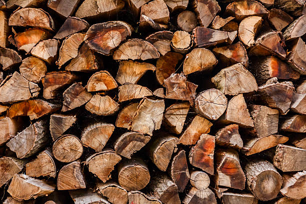 istock Pile of wood 525984831
