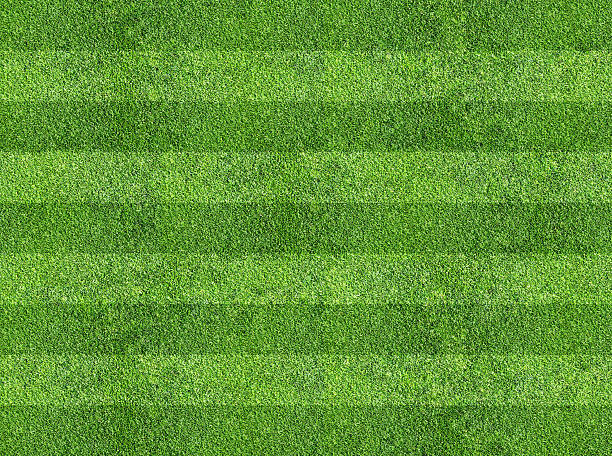 istock grass of sport field 525986013