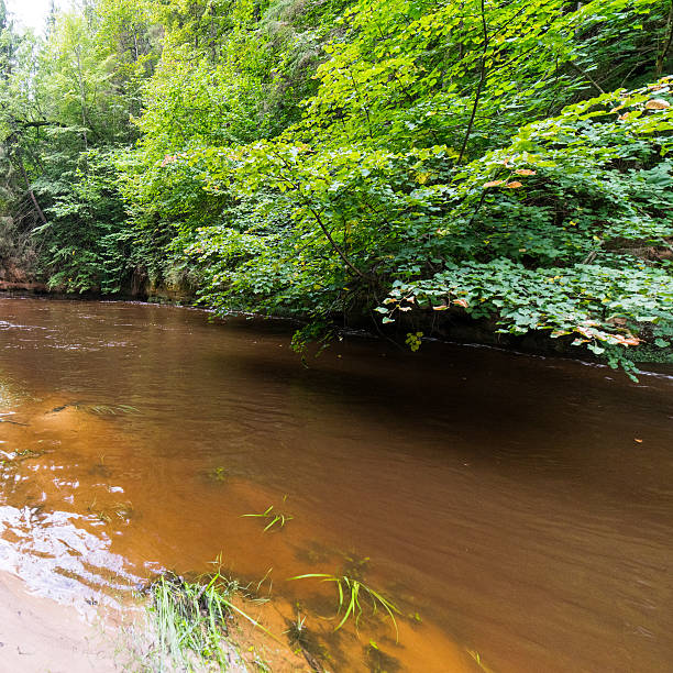 istock Mountain river with Flowing Water Stream and sandstone cliffs 525986899