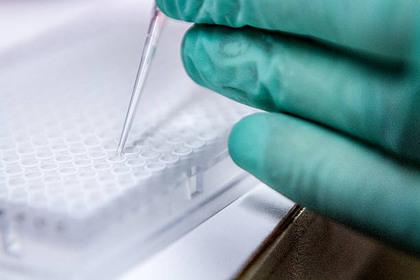 istock Scientific Cellular Research with Pipette 525987137