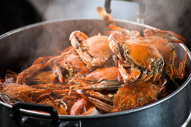 steamed crab stock photo