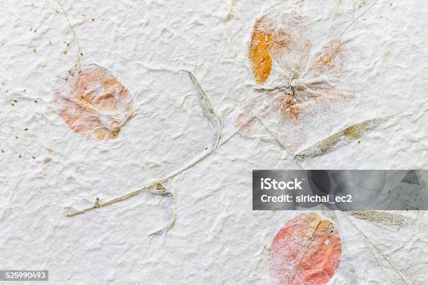 Mulberry Paper With Dry Flower Texture Background Stock Photo - Download Image Now - Abstract, Ancient, Backgrounds