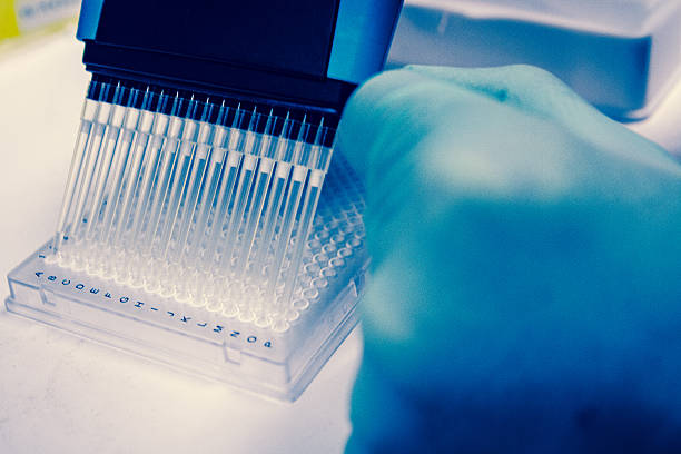 a investigação com células com múltiplos pipeta - high throughput - fotografias e filmes do acervo