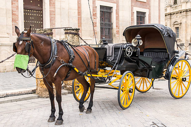 istock Carriage, Seville, Spain. 526017869