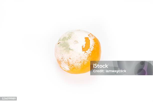 Stinky Rotten Fungus Mold Orange Stock Photo - Download Image Now - Circle, Citrus Fruit, Cruel