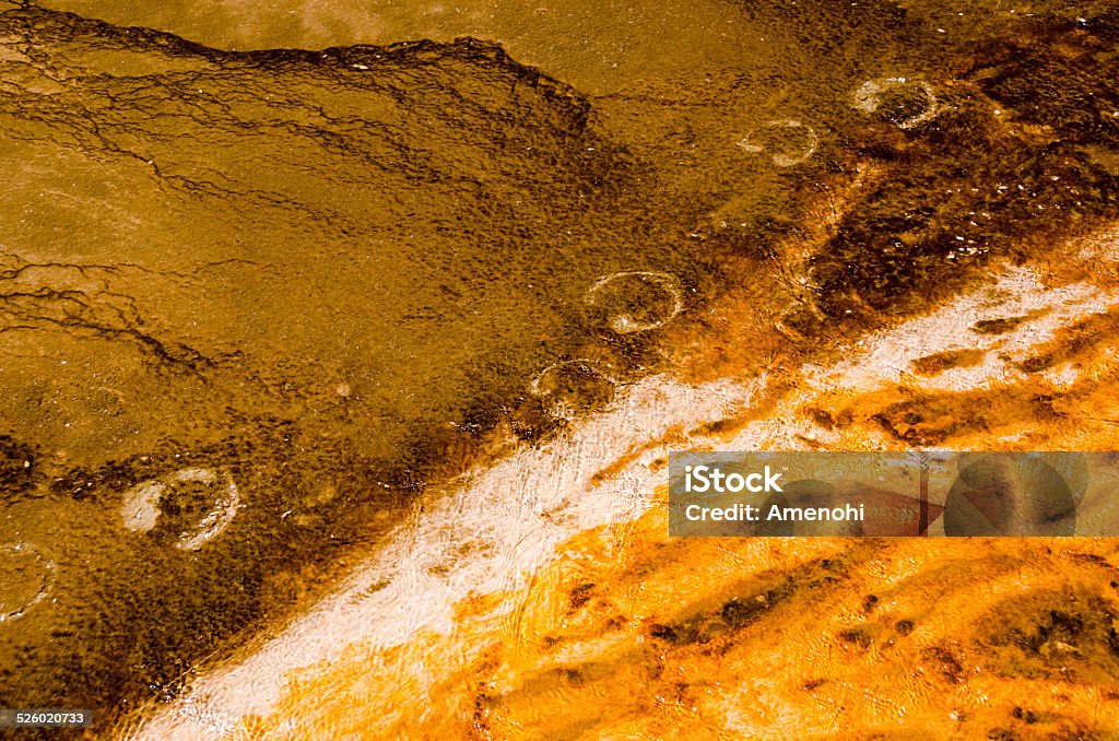 Bison footprints in a thermal spring Bison footprints in a thermal spring - in Yellowstone national park American Bison Stock Photo