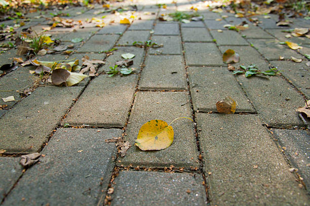 istock one yellow autumn leaf on the road 526021545