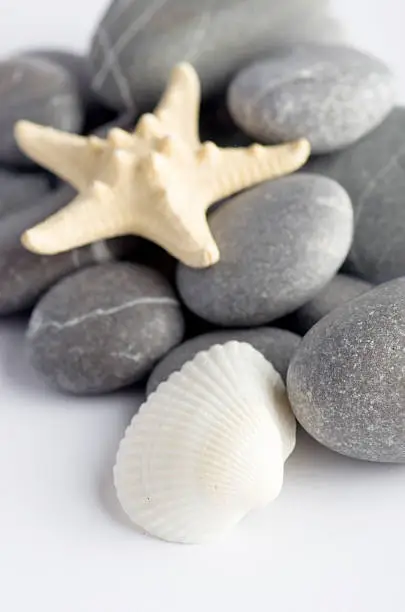 Natural spa elements- seashell with starshell and stones on white