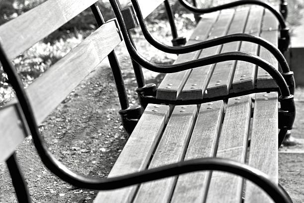 new york a central park bench - lower level foto e immagini stock