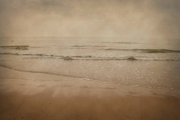 istock seashore in the north sea 526022503