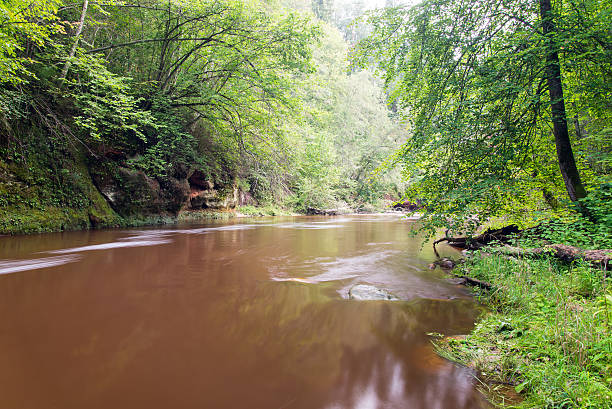 istock Mountain river with Flowing Water Stream and sandstone cliffs 526022563