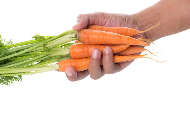 istock Bunch Of Fresh Carrots 526023425