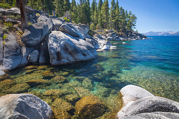 istock Beautiful Shoreline of Lake Tahoe 526023821