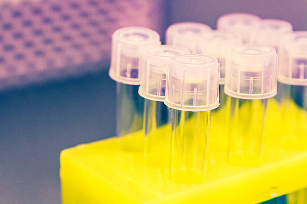 istock Test Tubes for Cell Research and Scientific Experimentation 526024189