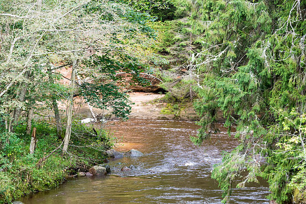 istock view to the Mountain river with Flowing Water 526024623