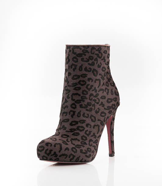 istock Fashionable women shoe 526035161