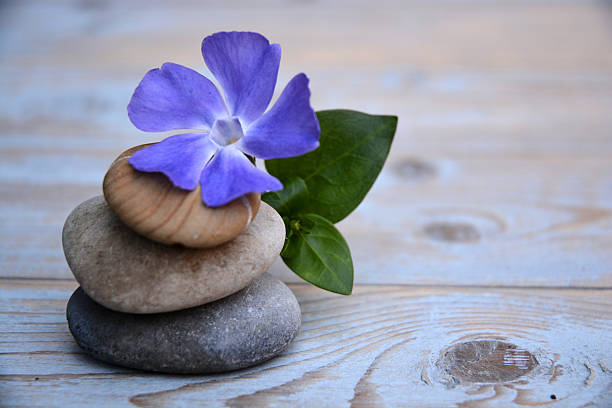 istock Three zen stones with flower on a woodenbackground 526036133