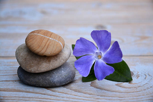 istock three Zen stones with flower on a wooden background 526036137