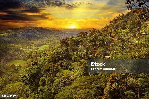 Mountain Landscape And Sunrise Stock Photo - Download Image Now - Animal Wildlife, Backgrounds, Beauty In Nature
