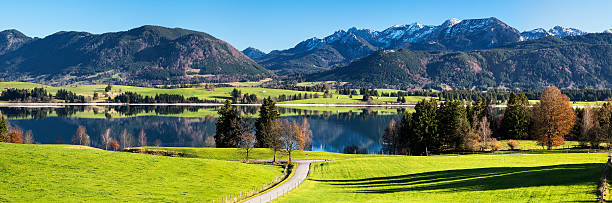 herbstliche landschaft mit see, alpen im hintergrund, deutschland - allgau field landscape bavaria stock-fotos und bilder