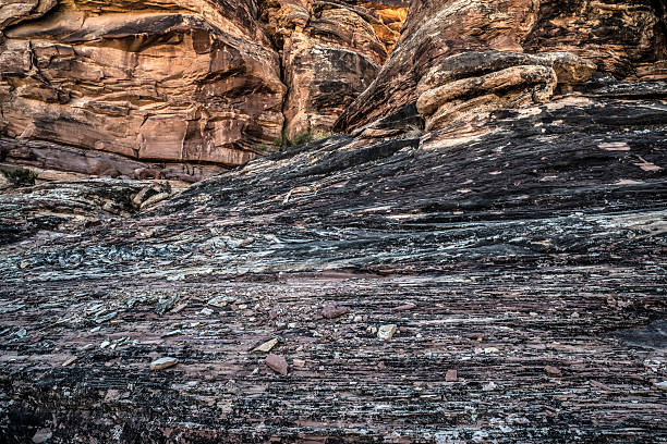 istock Canyonlands National Park 526037353